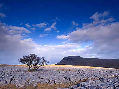 Ingleborough from near Crina Bottom - Download this Yorkshire Dales Wallpaper
