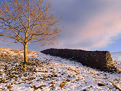 Afternoon light and snow, Scout Scar, Kendal - Download this Lake District Wallpaper